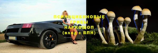 mdpv Алзамай