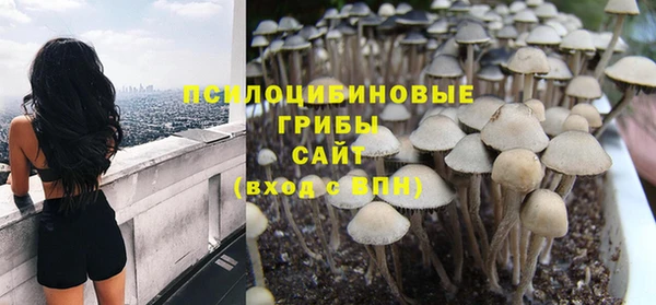 mdpv Алзамай