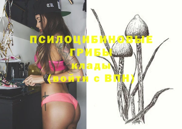mdpv Алзамай