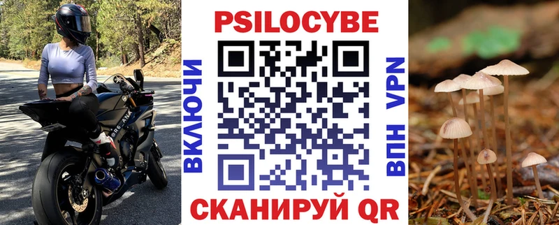 купить  сайты  Чадан  блэк спрут ссылки  Галлюциногенные грибы Cubensis 